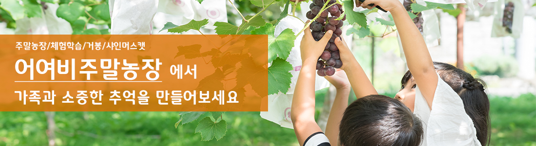 배너 어여비주말농장에서 가족과의 소중한 추억을 만들어보세요